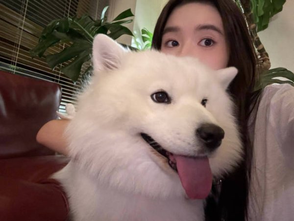 配配查官网 王玉雯更新生活随拍 与雪白大狗自拍合影状态惬意