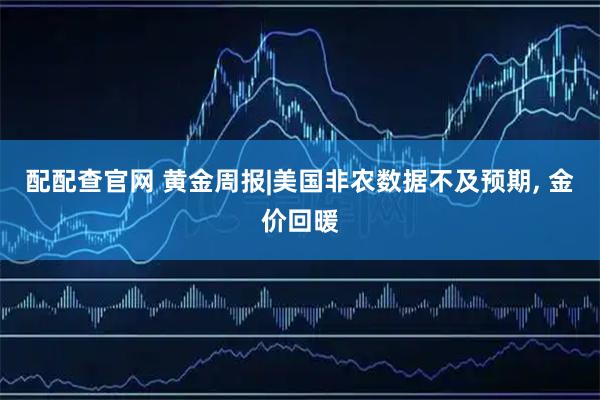 配配查官网 黄金周报|美国非农数据不及预期, 金价回暖