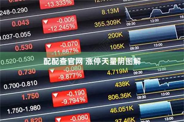 配配查官网 涨停天量阴图解