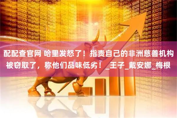 配配查官网 哈里发怒了！指责自己的非洲慈善机构被窃取了，称他们品味低劣！_王子_戴安娜_梅根
