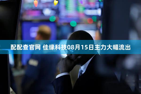 配配查官网 佳缘科技08月15日主力大幅流出