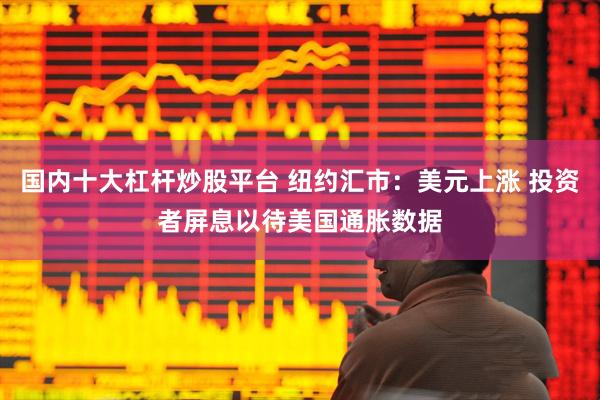 国内十大杠杆炒股平台 纽约汇市：美元上涨 投资者屏息以待美国通胀数据
