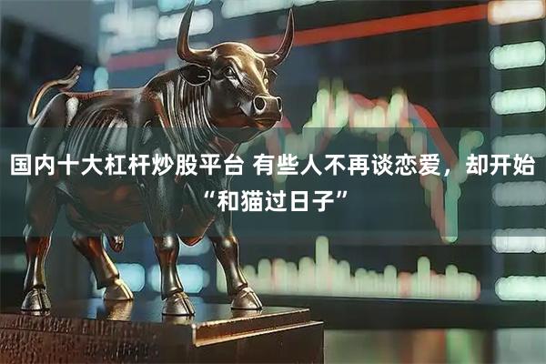国内十大杠杆炒股平台 有些人不再谈恋爱，却开始“和猫过日子”