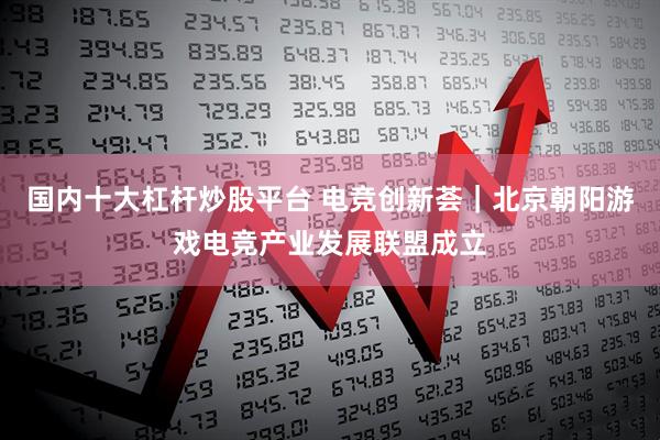 国内十大杠杆炒股平台 电竞创新荟｜北京朝阳游戏电竞产业发展联盟成立