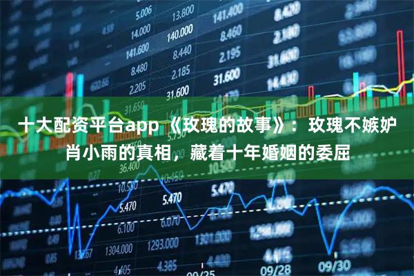 十大配资平台app 《玫瑰的故事》：玫瑰不嫉妒肖小雨的真相，藏着十年婚姻的委屈