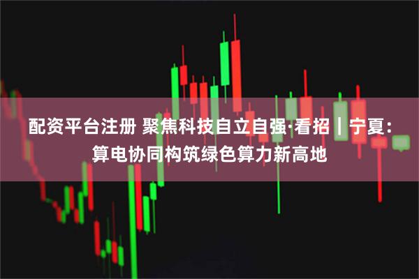 配资平台注册 聚焦科技自立自强·看招｜宁夏：算电协同构筑绿色算力新高地